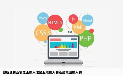 你所说的五笔之王输入法是五笔输入的还是笔画输入的