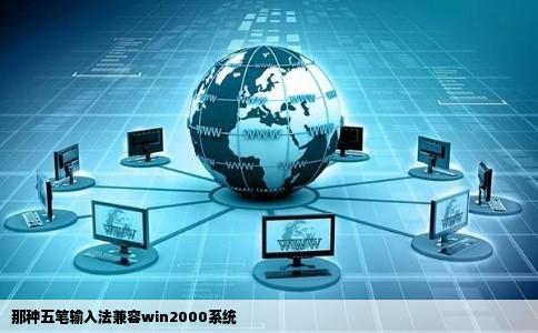 那种五笔输入法兼容win2000系统