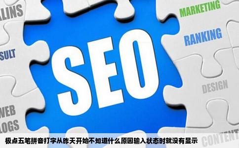 极点五笔拼音打字从昨天开始不知道什么原因输入状态时就没有显示