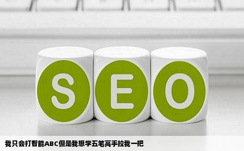 我只会打智能ABC但是我想学五笔高手拉我一把