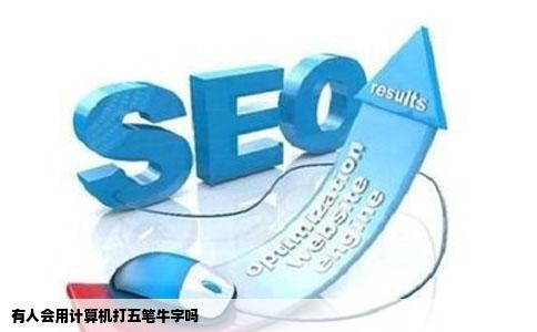 有人会用计算机打五笔牛字吗