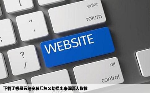 下载了极品五笔安装后怎么切换出来呢高人指教