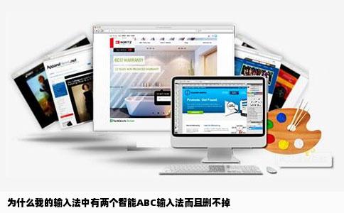 为什么我的输入法中有两个智能ABC输入法而且删不掉