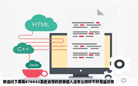 想请问下黑莓870042系统自带的拼音输入法怎么样好不好用最近想