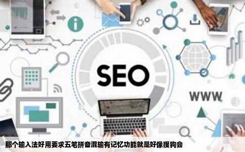 那个输入法好用要求五笔拼音混输有记忆功能就是好像搜狗会