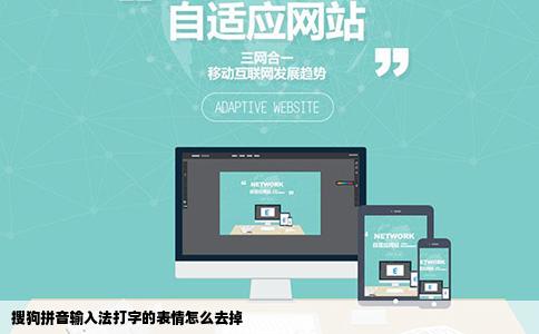搜狗拼音输入法打字的表情怎么去掉