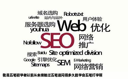 我是五笔初学者以前从未接触过五笔请问得多久能学会五笔打字啊