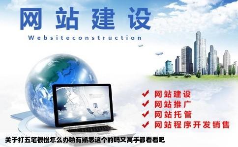 关于打五笔很慢怎么办哟有熟悉这个的吗又高手都看看吧