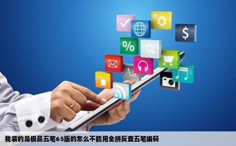 我装的是极品五笔65版的怎么不能用全拼反查五笔编码