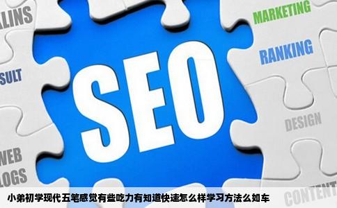 小弟初学现代五笔感觉有些吃力有知道快速怎么样学习方法么如车