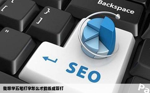 我想学五笔打字怎么才能练成盲打