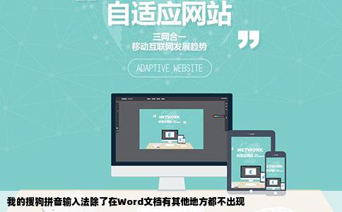 我的搜狗拼音输入法除了在Word文档有其他地方都不出现