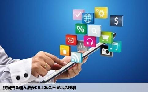 搜狗拼音输入法在CS上怎么不显示选项啊
