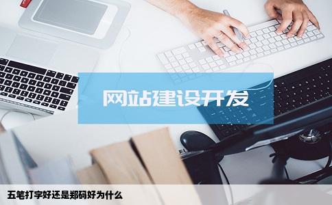 五笔打字好还是郑码好为什么