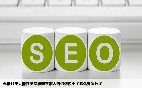 无法打字只能打英文和数字输入法也切换不了怎么办哭死了