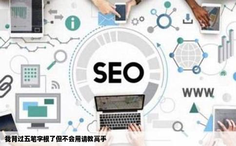 我背过五笔字根了但不会用请教高手