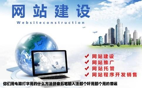 你们用电脑打字用的什么方法拼音五笔输入法那个好用那个用的普遍