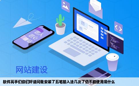 软件高手们你们好请问我安装了五笔输入法几次了仍不能使用是什么