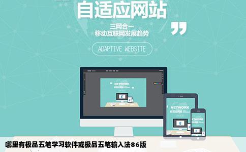 哪里有极品五笔学习软件或极品五笔输入法86版
