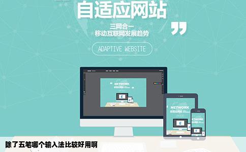 除了五笔哪个输入法比较好用啊