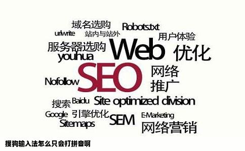 搜狗输入法怎么只会打拼音啊