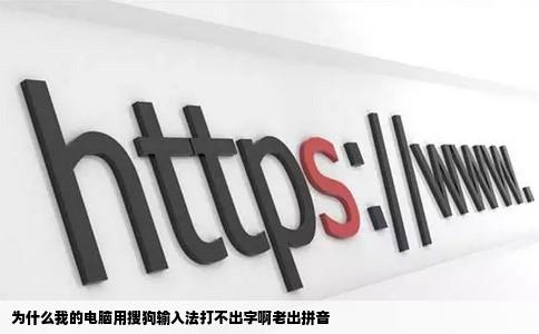 为什么我的电脑用搜狗输入法打不出字啊老出拼音