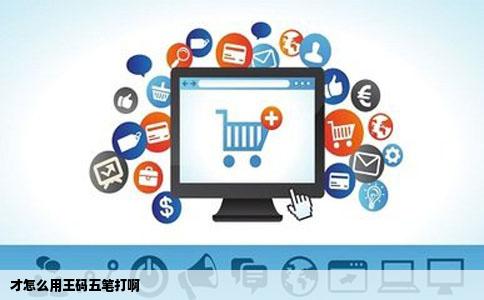 才怎么用王码五笔打啊