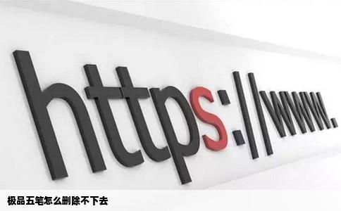 极品五笔怎么删除不下去
