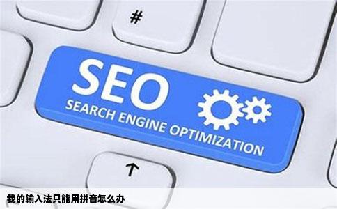我的输入法只能用拼音怎么办