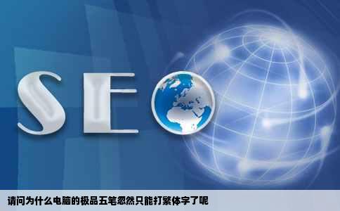 请问为什么电脑的极品五笔忽然只能打繁体字了呢
