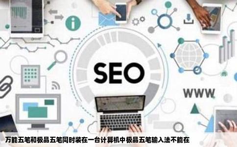 万能五笔和极品五笔同时装在一台计算机中极品五笔输入法不能在