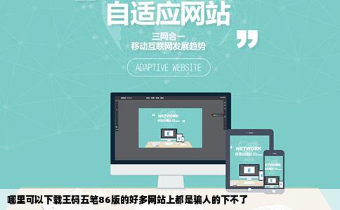 哪里可以下载王码五笔86版的好多网站上都是骗人的下不了