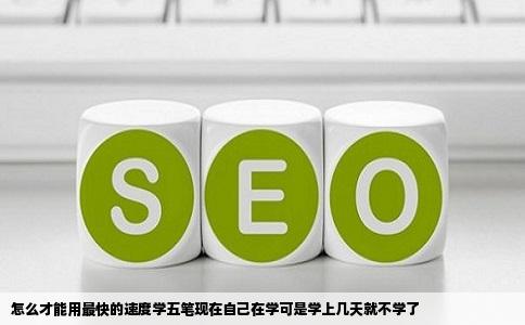 怎么才能用最快的速度学五笔现在自己在学可是学上几天就不学了