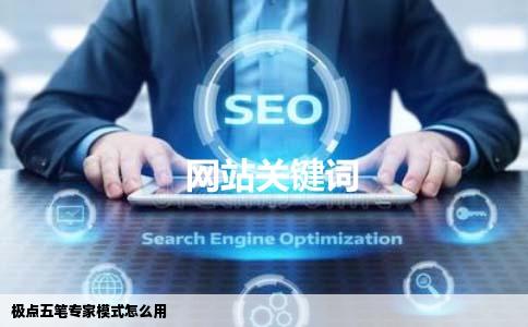 极点五笔专家模式怎么用