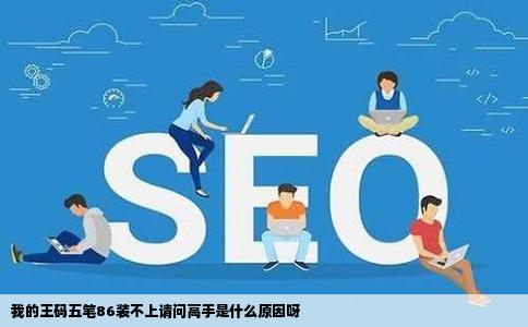 我的王码五笔86装不上请问高手是什么原因呀