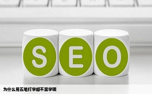 为什么用五笔打字却不显字呢
